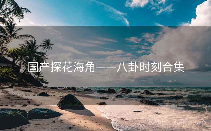 国产探花海角——八卦时刻合集