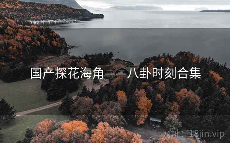 国产探花海角——八卦时刻合集  第2张