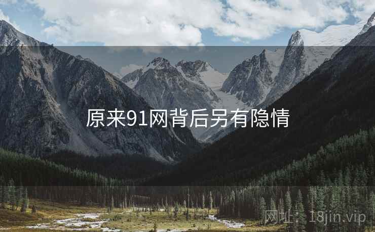 原来91网背后另有隐情