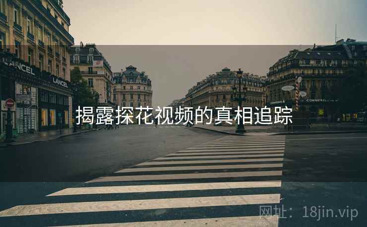 揭露探花视频的真相追踪
