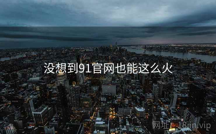 没想到91官网也能这么火