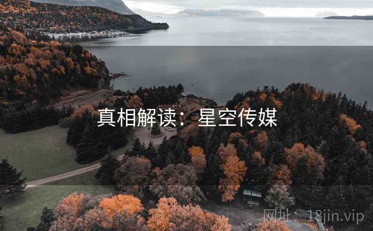 真相解读：星空传媒