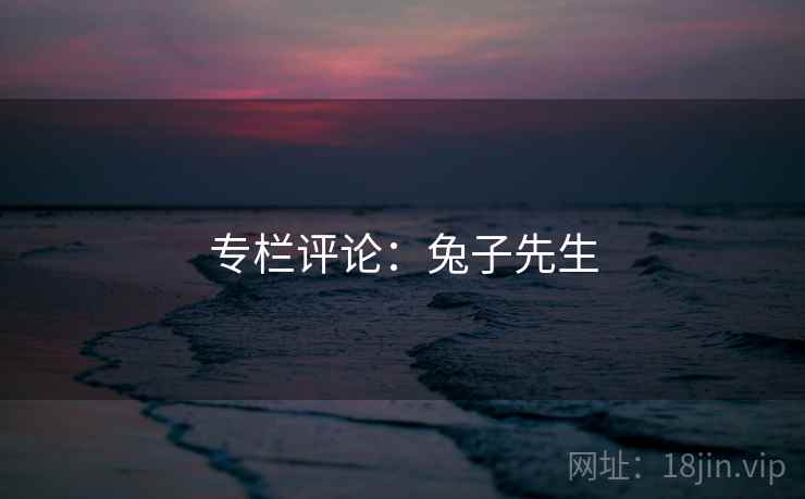 专栏评论：兔子先生
