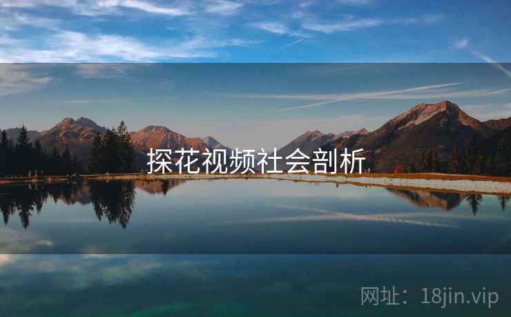探花视频社会剖析