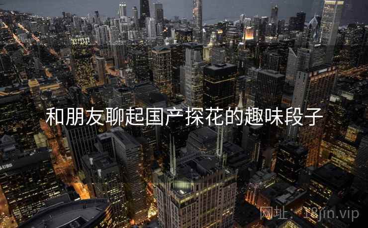 和朋友聊起国产探花的趣味段子