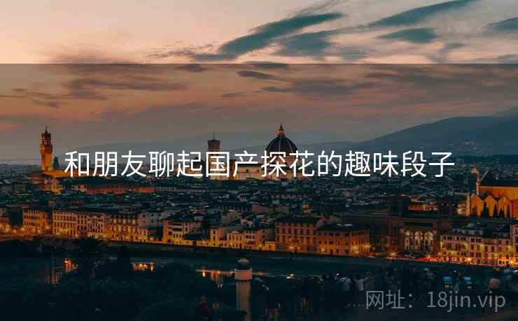 和朋友聊起国产探花的趣味段子