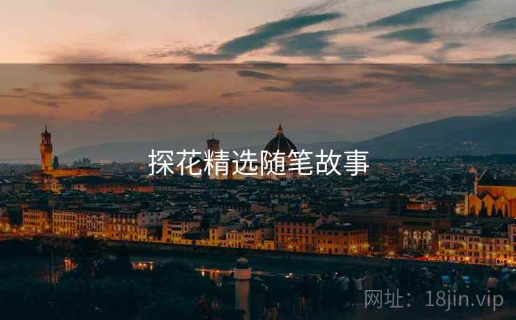 探花精选随笔故事