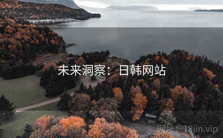 未来洞察：日韩网站