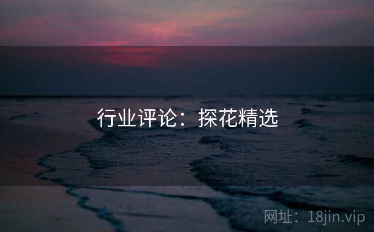 行业评论：探花精选