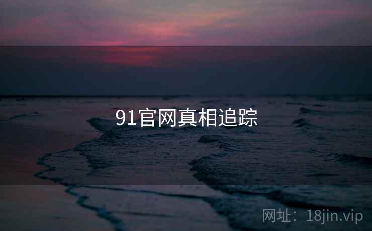 91官网真相追踪